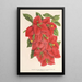 Bougainvillea spectabilis - Charles Antoine Lemaire — kehystetty taideteos seinällä