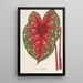Maalauksen jäljennös Caladium Duc Adolphe de Nassau - Charles Antoine Lemaire