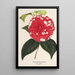 Camellia Giardino Santarelli - Charles Antoine Lemaire — kehystetty taideteos seinällä