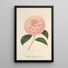 Maalauksen jäljennös Camellia Giardino Schmitz - Charles Antoine Lemaire