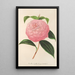 Camellia Isabella Orsini Franchetti - Charles Antoine Lemaire — kehystetty taideteos seinällä