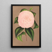 Maalauksen jäljennös Camellia Mistress Dombrain - Charles Antoine Lemaire