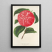 Camellia Ninfa del Tebro - Charles Antoine Lemaire — kehystetty taideteos seinällä