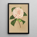 Maalauksen jäljennös Camellia Principessa Clotilde - Charles Antoine Lemaire