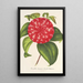 Maalauksen jäljennös Camellia-maalauksen muistoesine Émile Defresne - Charles Antoine Lemaire