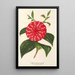 Maalauksen jäljennös Camellia Stella Polare - Charles Antoine Lemaire