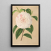 Camellia Virginia Franco - Charles Antoine Lemaire — kehystetty taideteos seinällä