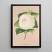 Maalauksen jäljennös Camellia alba ornatissima - Charles Antoine Lemaire