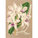 Cattleya amethystoglossa - Charles Antoine Lemaire — näkymä teoksesta