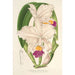 Cattleya quadricolor - Charles Antoine Lemaire — näkymä teoksesta
