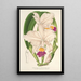 Cattleya quadricolor - Charles Antoine Lemaire — kehystetty taideteos seinällä