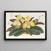 Cypripedium concolor - Charles Antoine Lemaire — kehystetty taideteos seinällä