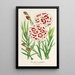 Maalauksen jäljennös Dianthus Verschaffeltii - Charles Antoine Lemaire