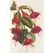 Fuksia Solferino - Charles Antoine Lemaire — näkymä teoksesta