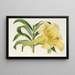 Lilium neilgherricum - Charles Antoine Lemaire — kehystetty taideteos seinällä