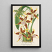 Maalauksen jäljennös Odontoglossum hallii - Charles Antoine Lemaire