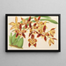 Odontoglossum luteopurpureum var. sceptrum - Charles Antoine Lemaire — kehystetty taideteos seinällä
