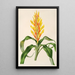 Pitcairnia andreana - Charles Antoine Lemaire — kehystetty taideteos seinällä