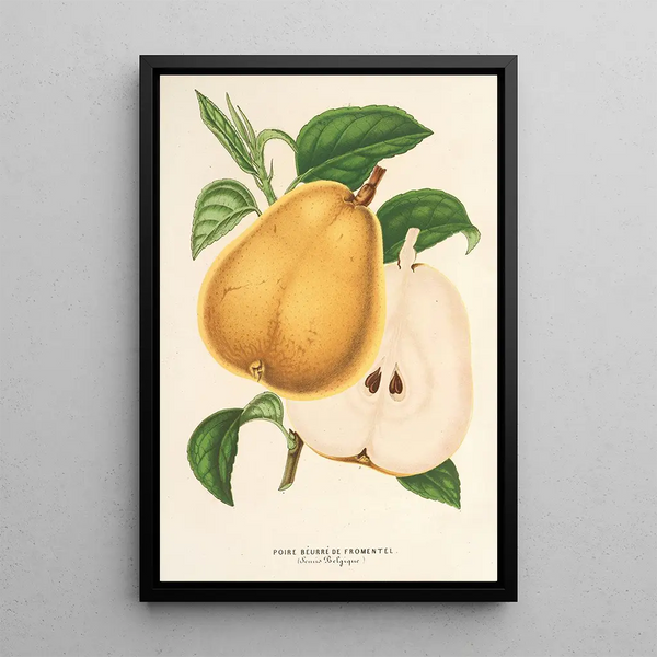 Charles Antoine Lemaire - Poire beurr de Fromentel.webp