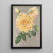 Rose Thé Jaune d'Or - Charles Antoine Lemaire — kehystetty taideteos seinällä