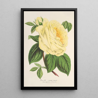 Charles Antoine Lemaire - Rose Th lEnfant trouv.webp