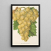 Maalauksen jäljennös Raisin Royal Vineyard - Charles Antoine Lemaire
