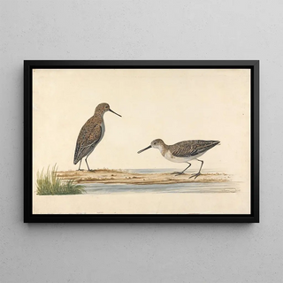 Charles Collins - A Pair of Stints.webp