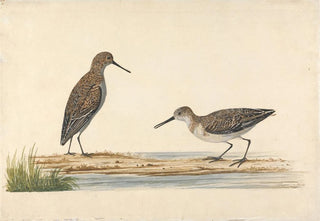 Charles Collins - A Pair of Stints.webp