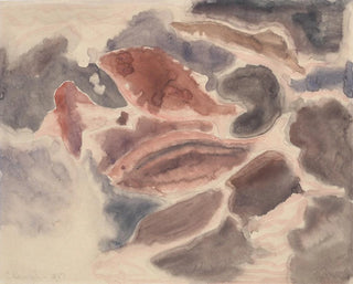 Charles Demuth - Fish Series No 2.webp