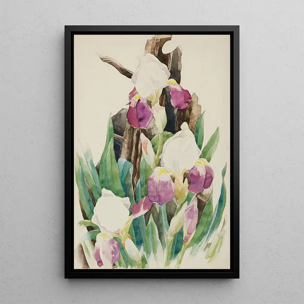 Iris-maalaus - Charles Demuth — kehystetty taideteos seinällä