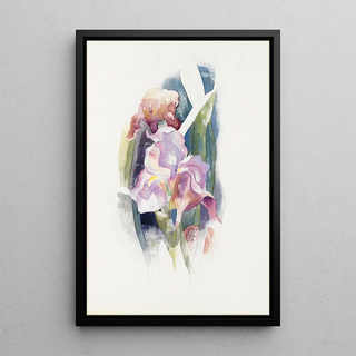 Charles Demuth - Purple Iris.webp