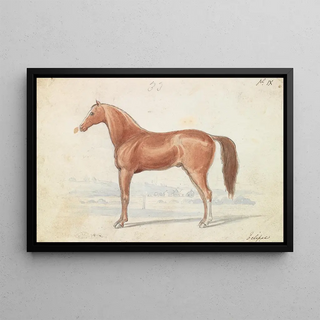 Charles Hamilton Smith - The English RaceHorse.webp