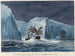 L'Erebus kulkee jäävuorensein läpi - Charles Hamilton Smith — näkymä teoksesta