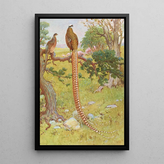 Charles Robert Knight - Reevess Pheasant.webp