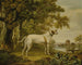 Un pointer anglais dans un paysage - Charles Towne — näkymä teoksesta