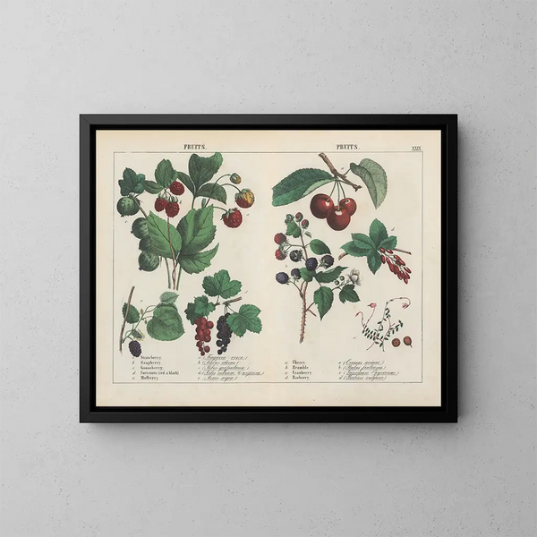 Fruits - Charlotte Mary Yonge — kehystetty taideteos seinällä