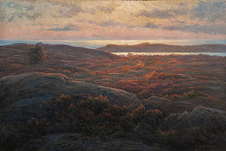 Charlotte Wahlstrm - Sunlight.webp
