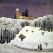 Château de Birseck sous la neige - Fritz Baumann — näkymä teoksesta