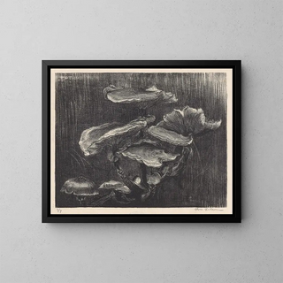 Chris Lebeau - Paddenstoelen.webp