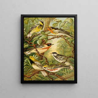 Christian Anton Goering - Die Nordamerikanische Vogelwelt pl13.webp