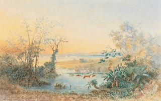 Christian Anton Goering - Lago De Valencia Venezuela.webp
