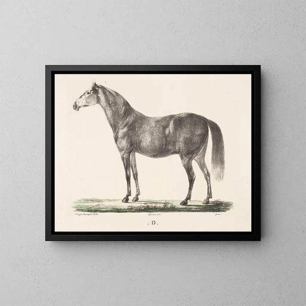 Le cheval D - Christian David Gebauer — kehystetty taideteos seinällä