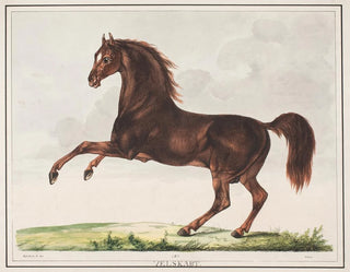 Christian David Gebauer - Hesten Velskabt.webp