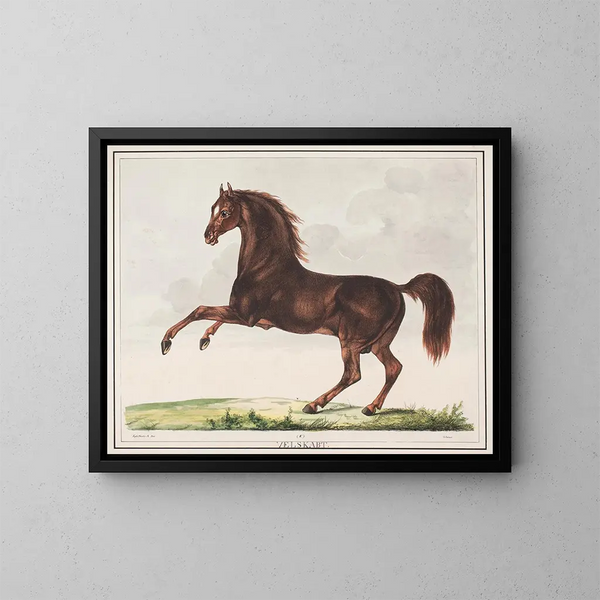 Le cheval bien formé - Christian David Gebauer — kehystetty taideteos seinällä