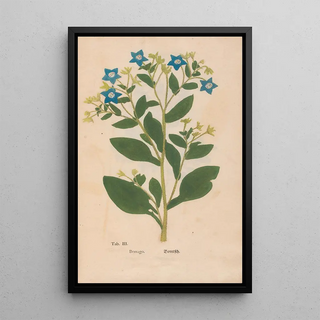 Christian Gottlieb Ludwig - Ectypa vegetabilium Pl003.webp