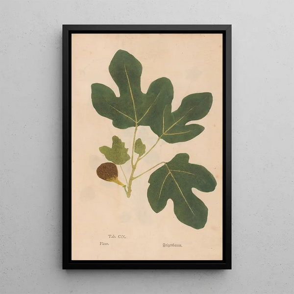 Maalauksen jäljennös Ectypa vegetabilium Pl109 - Christian Gottlieb Ludwig