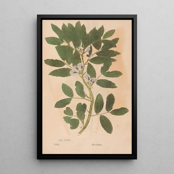 Maalauksen jäljennös Ectypa vegetabilium Pl159 - Christian Gottlieb Ludwig