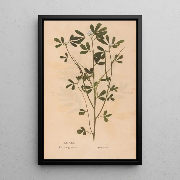 Maalauksen jäljennös Ectypa vegetabilium Pl160 - Christian Gottlieb Ludwig