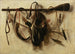 Luonnonkuva still life haukkametsästysvälineillä - Christoffel Pierson — näkymä teoksesta