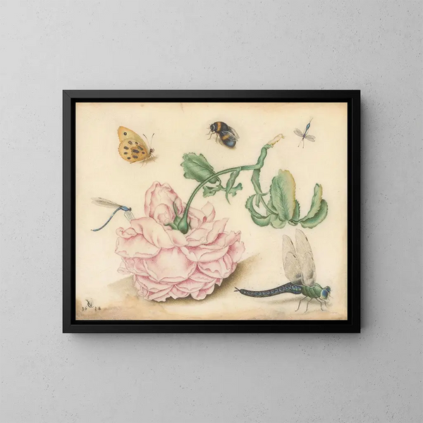 Une rose et cinq insectes - Christoffel van den Berghe — kehystetty taideteos seinällä